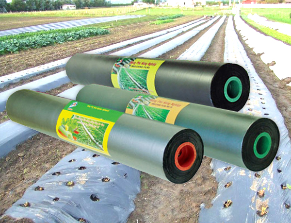bạc phủ nông nghiệp1.jpg