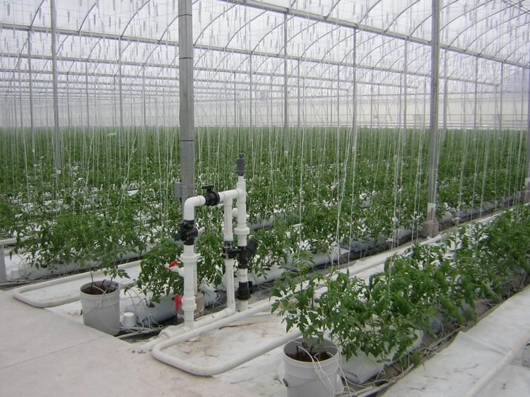 bao bì nông nghiệp công nghệ caoc2.jpg
