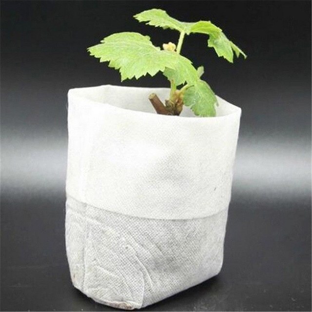 túi vải không dệt ươm cây1.jpg